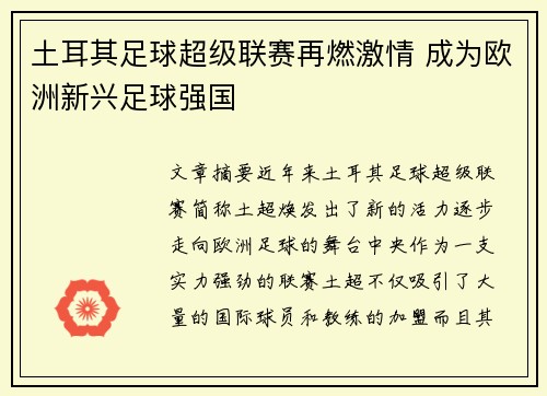 土耳其足球超级联赛再燃激情 成为欧洲新兴足球强国